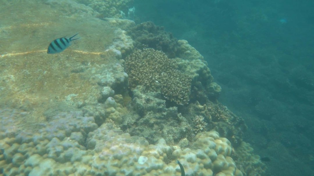 Pengalaman Aku Bercuti di Pulau Perhentian 3 Hari 2 Malam ...