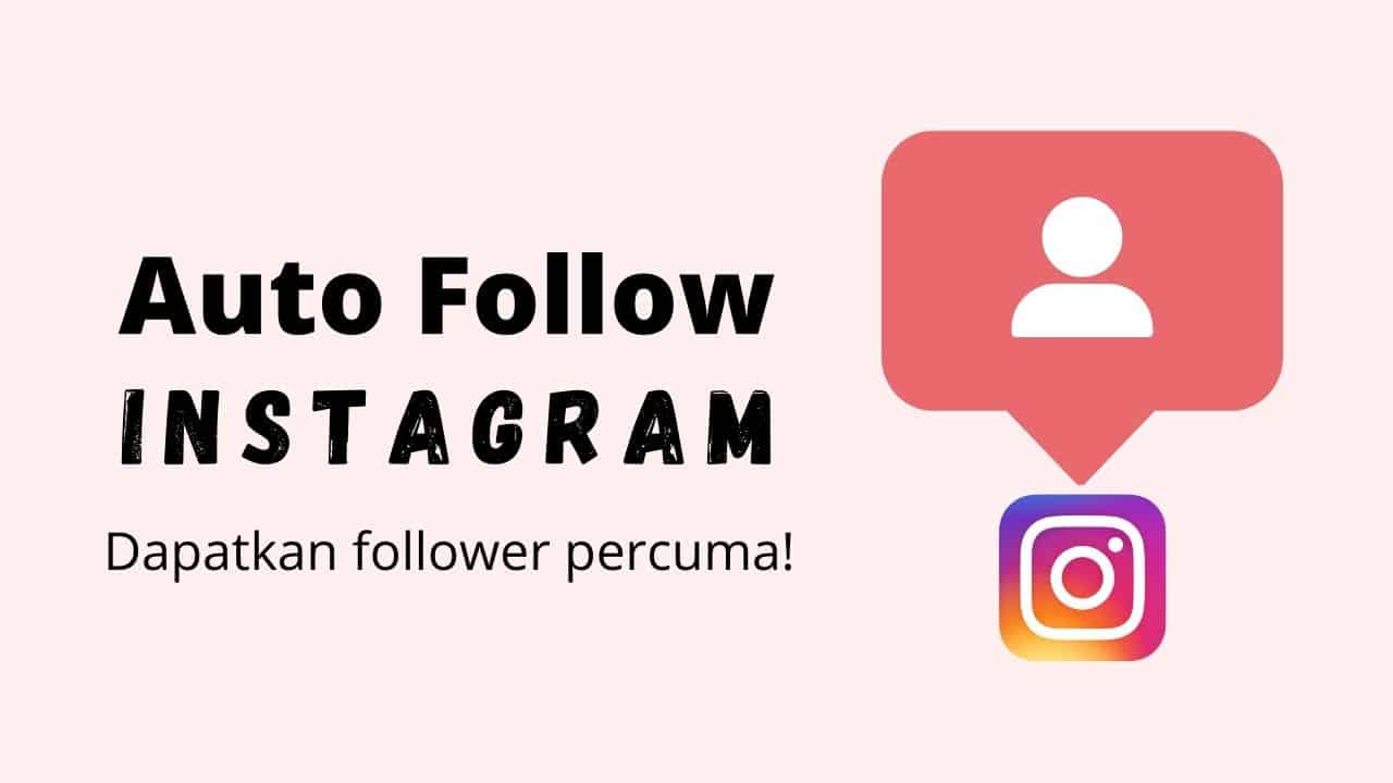 auto follow instagram