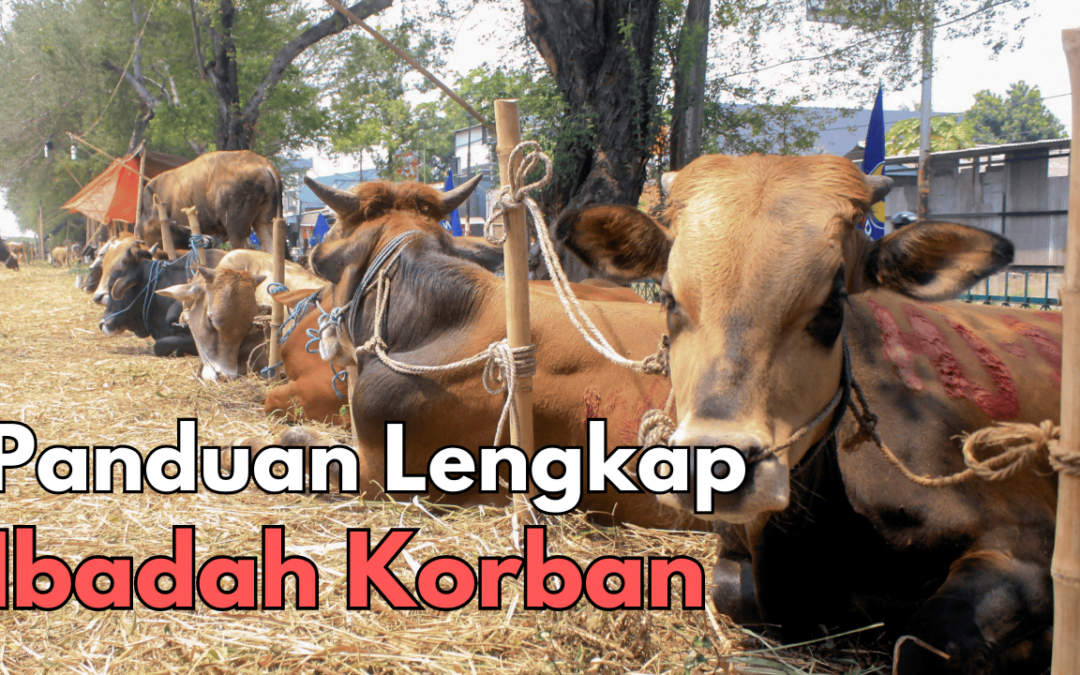 Panduan Lengkap Ibadah Korban
