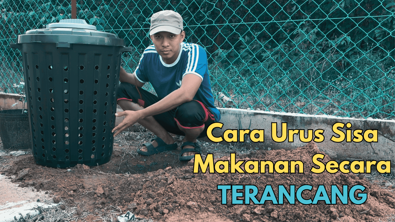 Cara Buat Baja Organik Dari Sisa Makanan