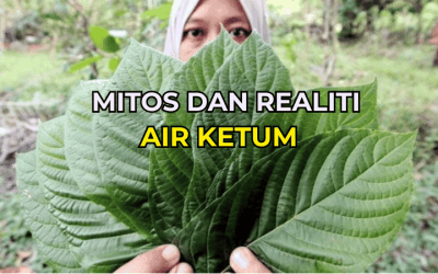 Mitos dan Realiti Air Ketum: Fakta Sebenar di Sebalik Kontroversi