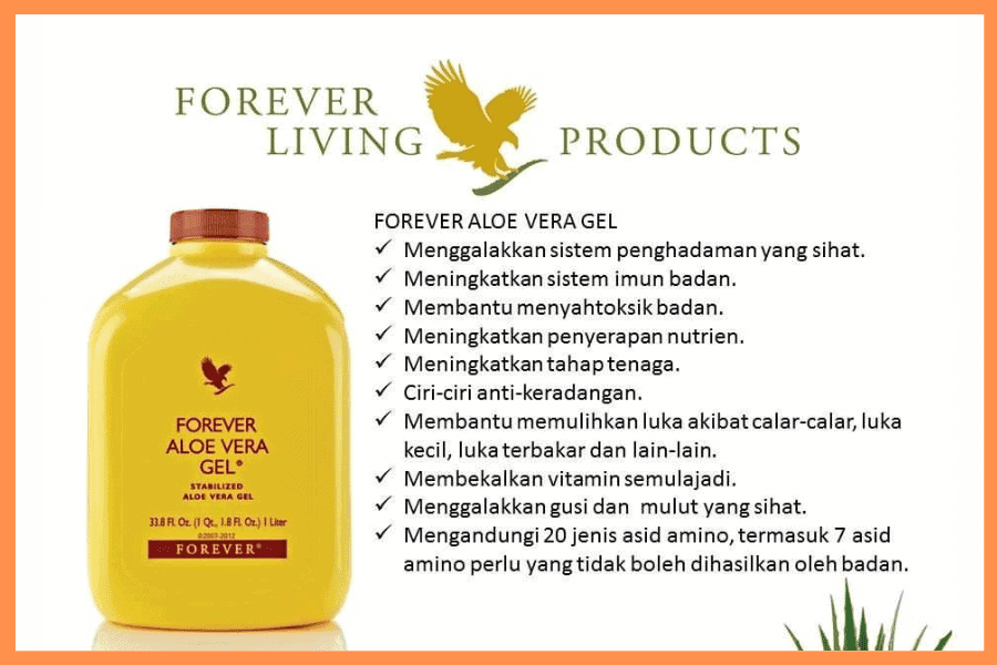 cara membuat jus aloe vera