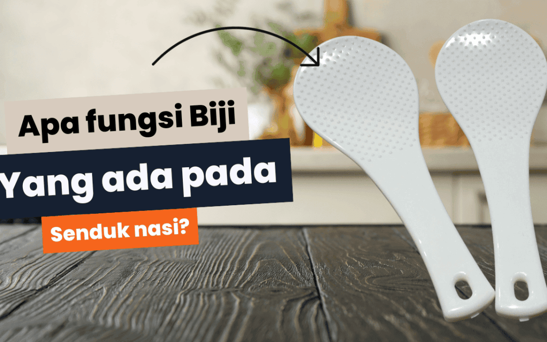 Apa Fungsi Biji Yang Ada Pada Senduk Nasi
