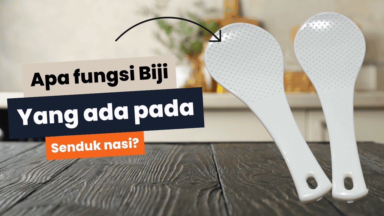 Apa Fungsi Biji Yang Ada Pada Senduk Nasi