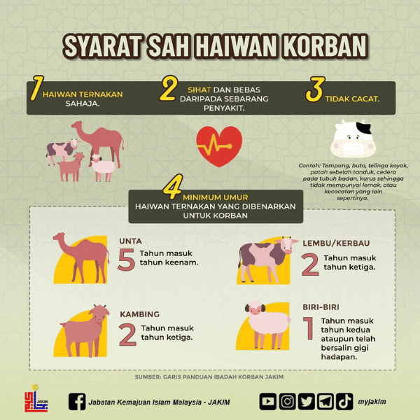 cara buat ibadah korban