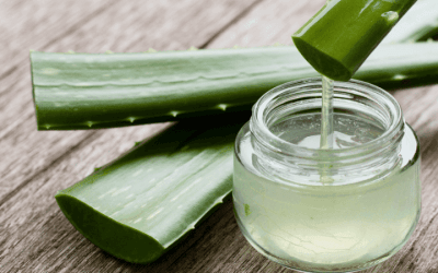 Khasiat Lidah Buaya: Tumbuhan Ajaib Untuk Kesihatan dan Kecantikan