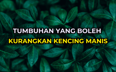7 Tumbuhan Yang Boleh Kurangkan Kencing Manis
