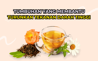 10 Tumbuhan Yang Membantu Turunkan Tekanan Darah Tinggi