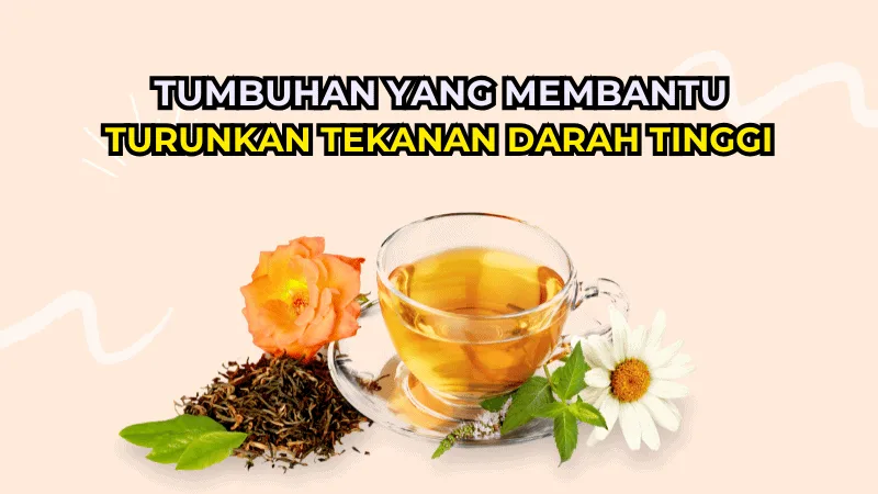 10 Tumbuhan Yang Membantu Turunkan Tekanan Darah Tinggi