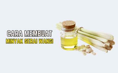 Cara Membuat Minyak Serai Wangi