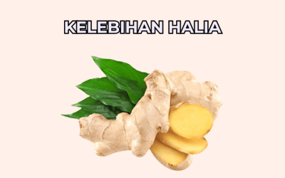 Kelebihan Halia Dalam Penjagaan Kesihatan