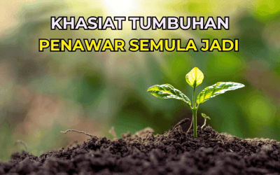 Khasiat Tumbuhan: Penawar Semula Jadi Yang Ramai Tak Tahu