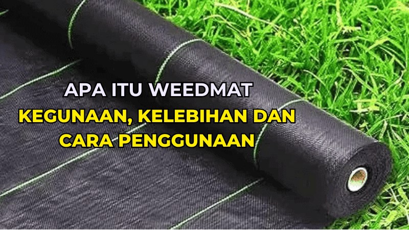 Apa Itu Weedmat