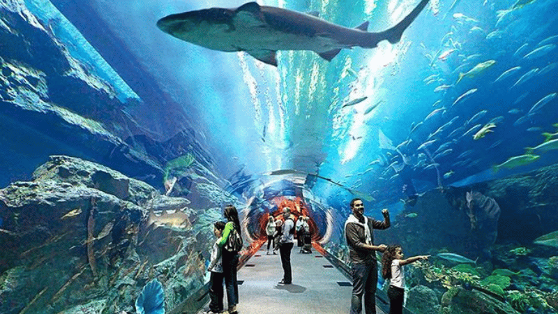 tempat menarik di langkawi