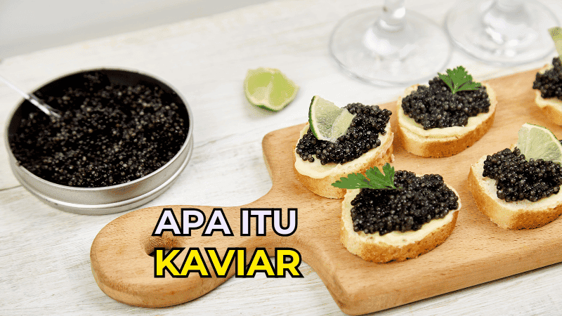 Apa Itu Kaviar dan Kenapa Ianya Mahal?