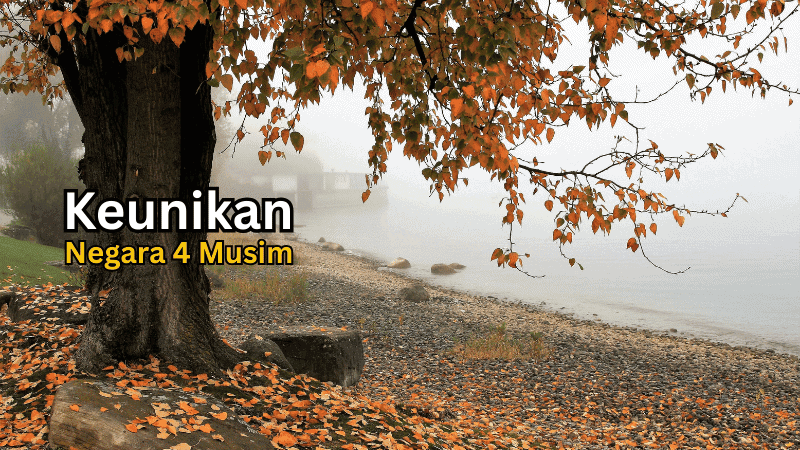 Keunikan Negara 4 Musim