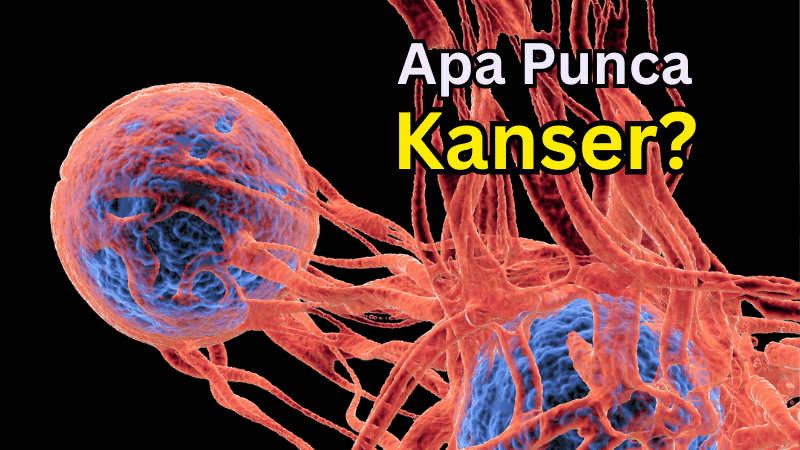apa pu8nca kanser