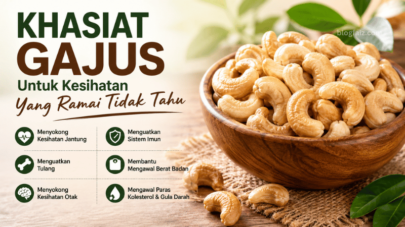 Khasiat Gajus Untuk Kesihatan Yang Ramai Tidak Tahu