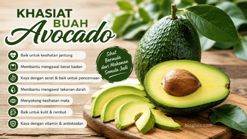 Khasiat Buah Avocado: Panduan Lengkap Manfaat, Kandungan Nutrisi dan Cara Menikmatinya